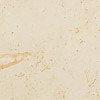 Ivory Fossil